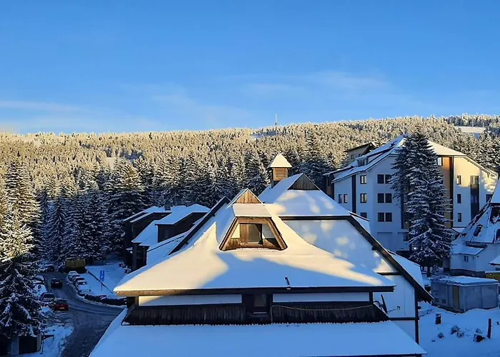 Vila Breg Kopaonik Centar